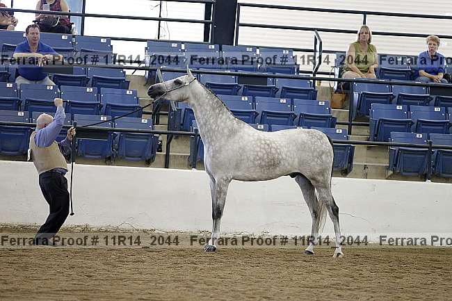 Proof 11r14_2044