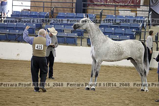 Proof 11r14_2048