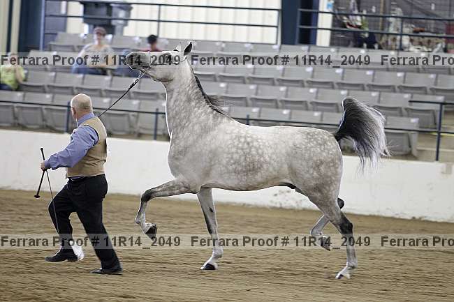 Proof 11r14_2049