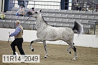 11r14_2049 proof