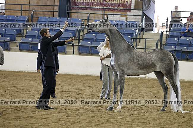 Proof 11r14_2053