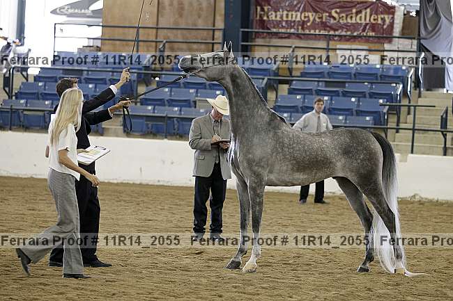 Proof 11r14_2055