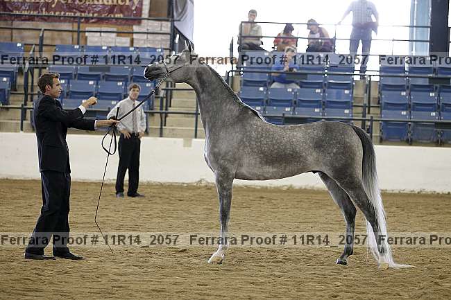 Proof 11r14_2057