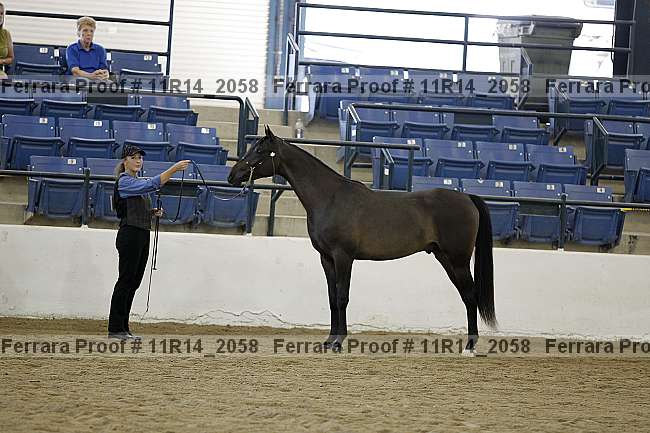 Proof 11r14_2058