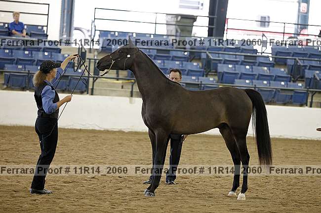 Proof 11r14_2060