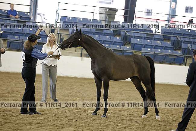 Proof 11r14_2061
