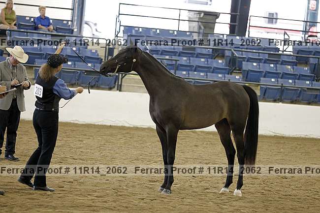 Proof 11r14_2062