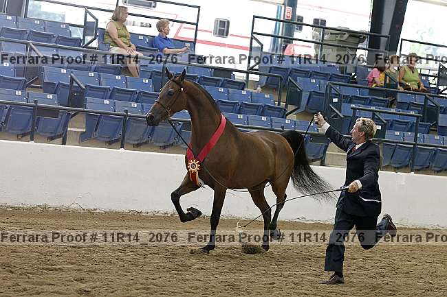 Proof 11r14_2076