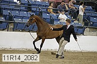 11r14_2082 proof