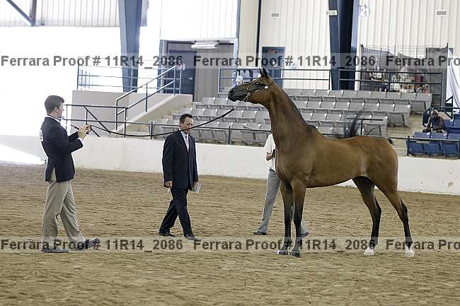 Proof 11r14_2086
