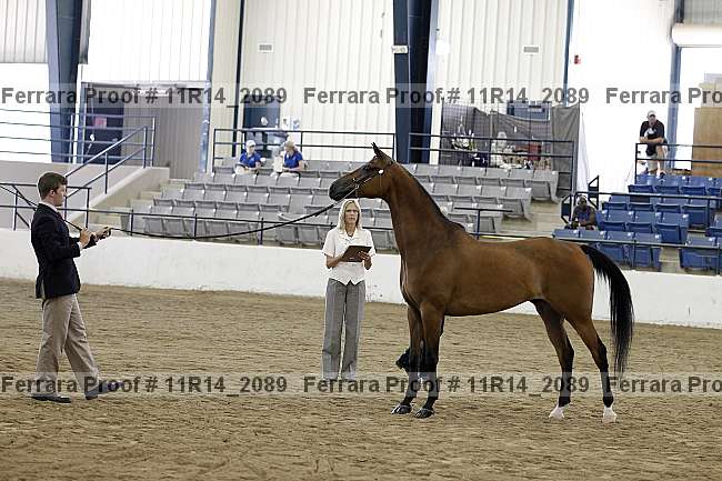 Proof 11r14_2089
