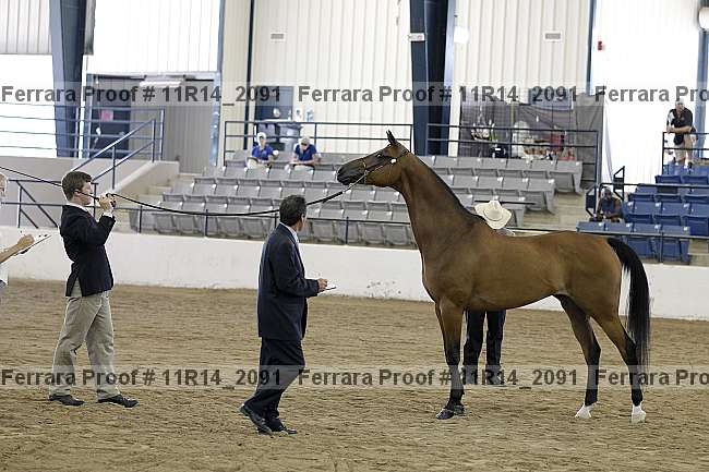 Proof 11r14_2091