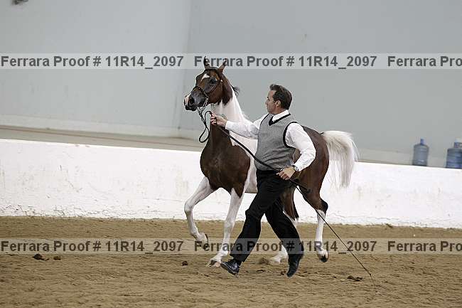 Proof 11r14_2097
