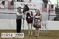 11r14_2099 proof