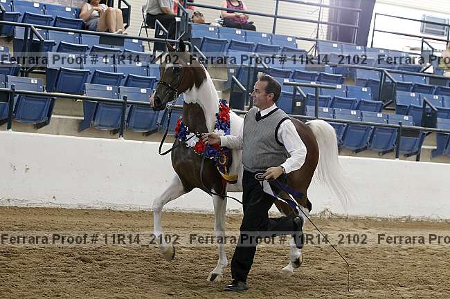 Proof 11r14_2102