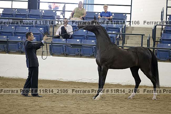 Proof 11r14_2106