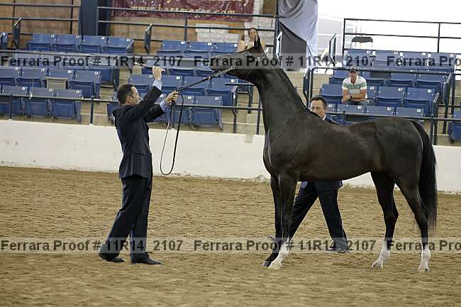 Proof 11r14_2107