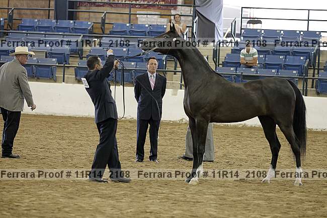 Proof 11r14_2108