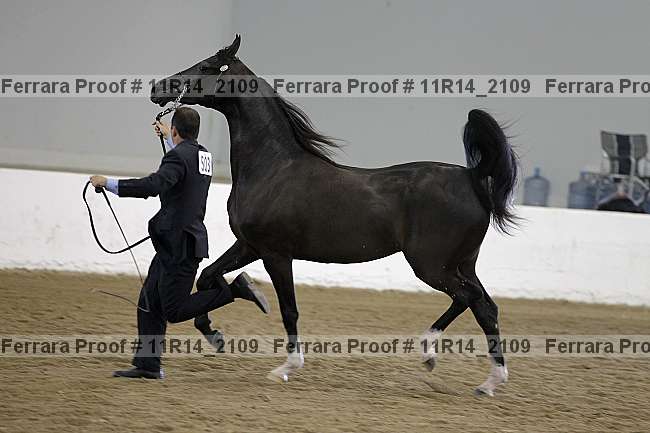 Proof 11r14_2109