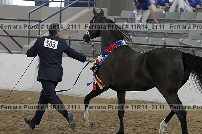 Proof 11r14_2111
