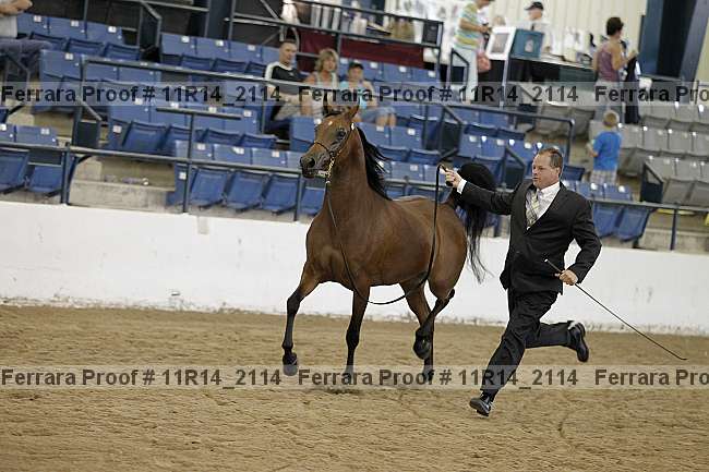 Proof 11r14_2114
