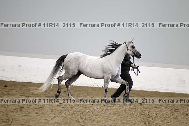 Proof 11r14_2115