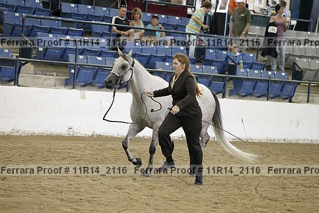Proof 11r14_2116