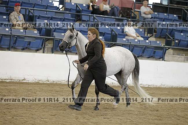 Proof 11r14_2117