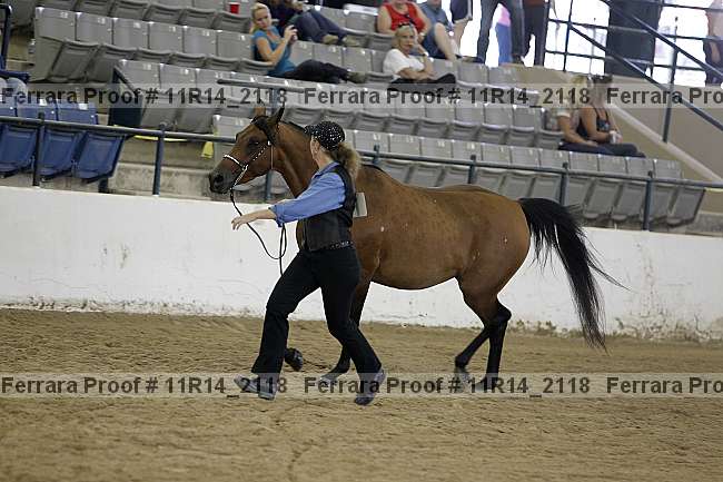 Proof 11r14_2118