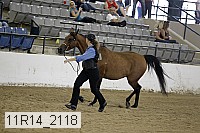 11r14_2118 proof