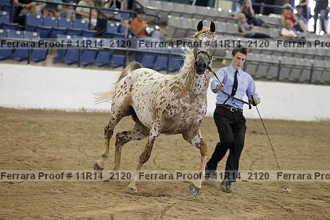 Proof 11r14_2120