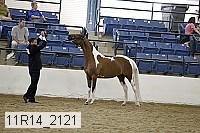11r14_2121 proof
