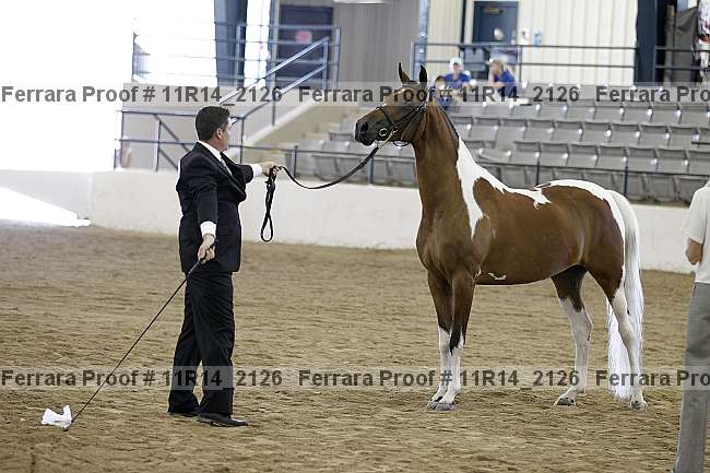 Proof 11r14_2126