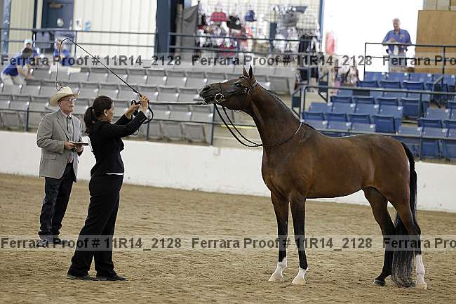 Proof 11r14_2128
