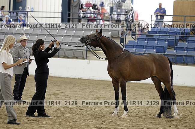 Proof 11r14_2129