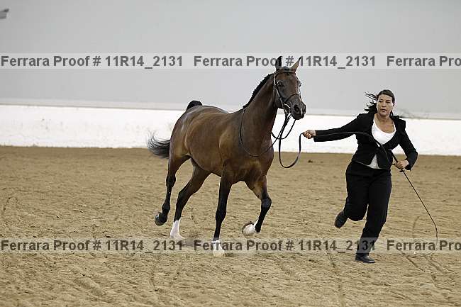 Proof 11r14_2131