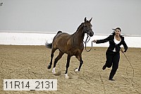 11r14_2131 proof
