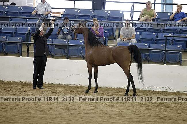 Proof 11r14_2132