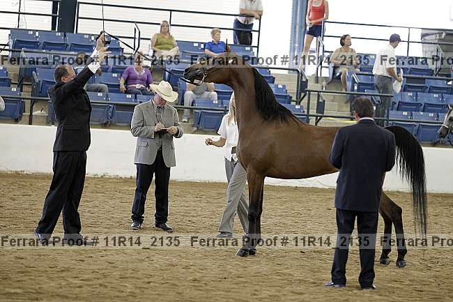 Proof 11r14_2135