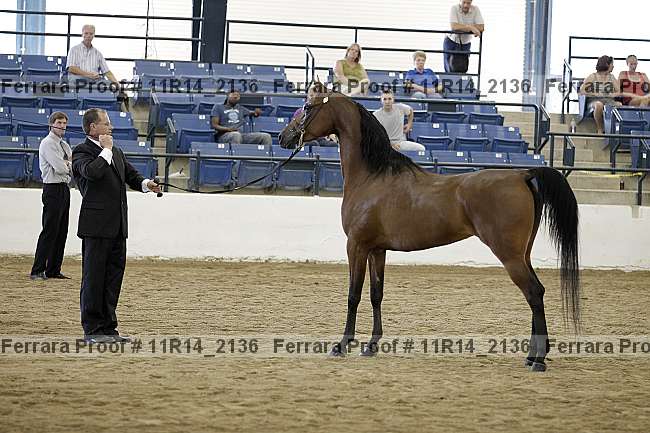 Proof 11r14_2136