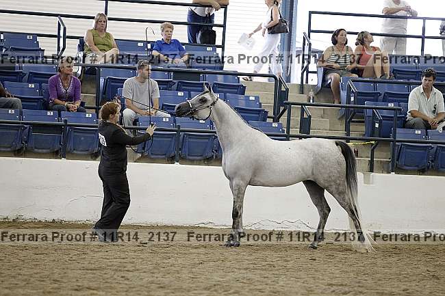 Proof 11r14_2137
