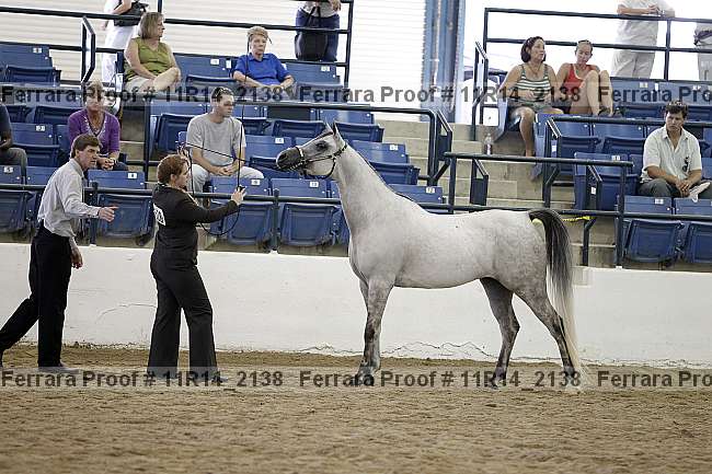 Proof 11r14_2138