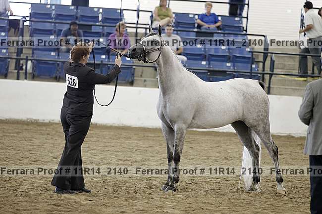 Proof 11r14_2140