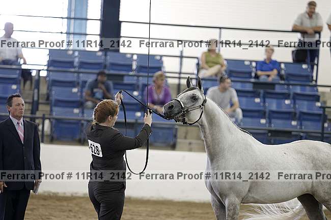 Proof 11r14_2142