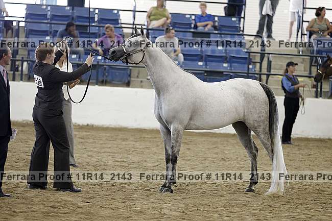 Proof 11r14_2143