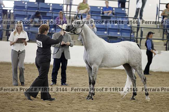 Proof 11r14_2144