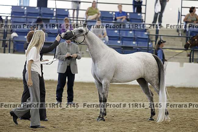 Proof 11r14_2145