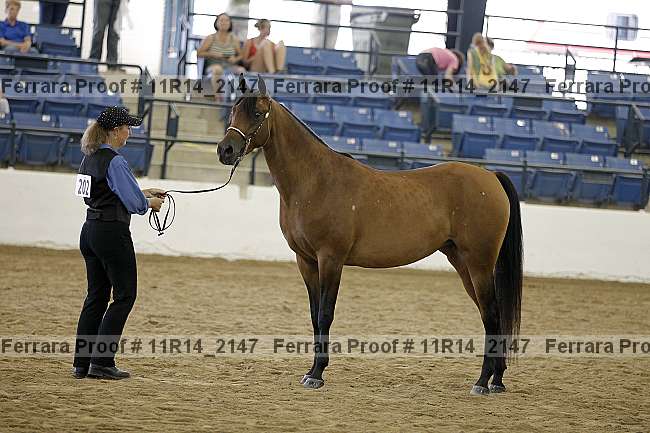 Proof 11r14_2147