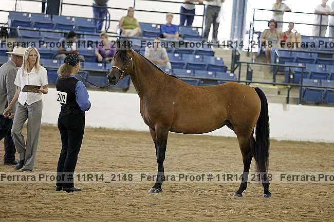 Proof 11r14_2148