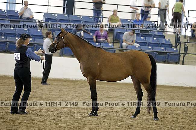 Proof 11r14_2149